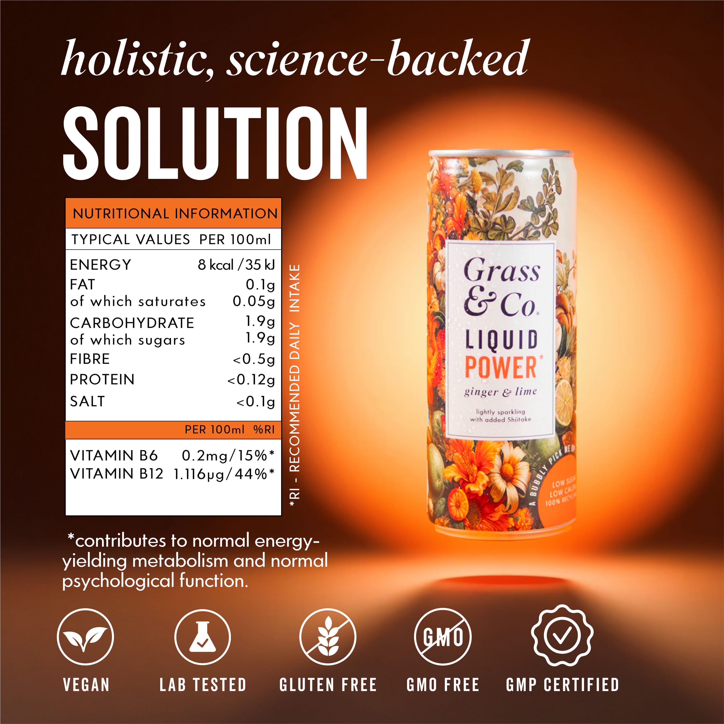 Liquid POWER Ginger & Lime with Shiitake Nootropic Drink 250ml