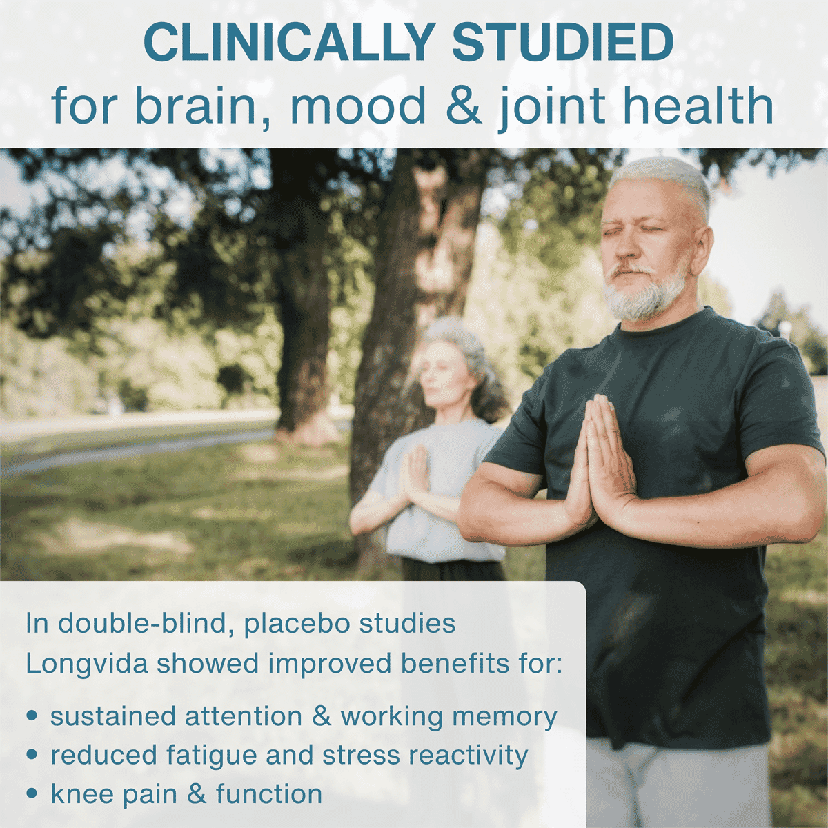 Longvida Optimised Curcumin 500mg 90s