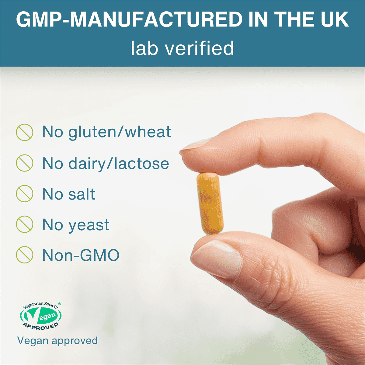 Longvida Optimised Curcumin 500mg 90s