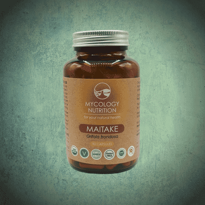 Maitake (Grifola frondosa) 90s