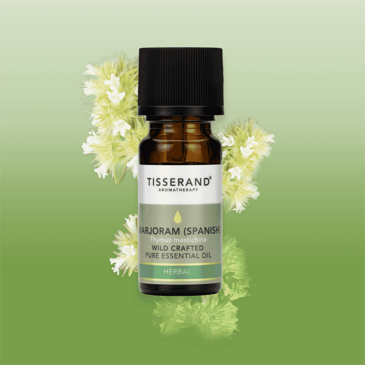 Marjoram (Spanish) Wild Crafted Pure Essential Oil 9ml