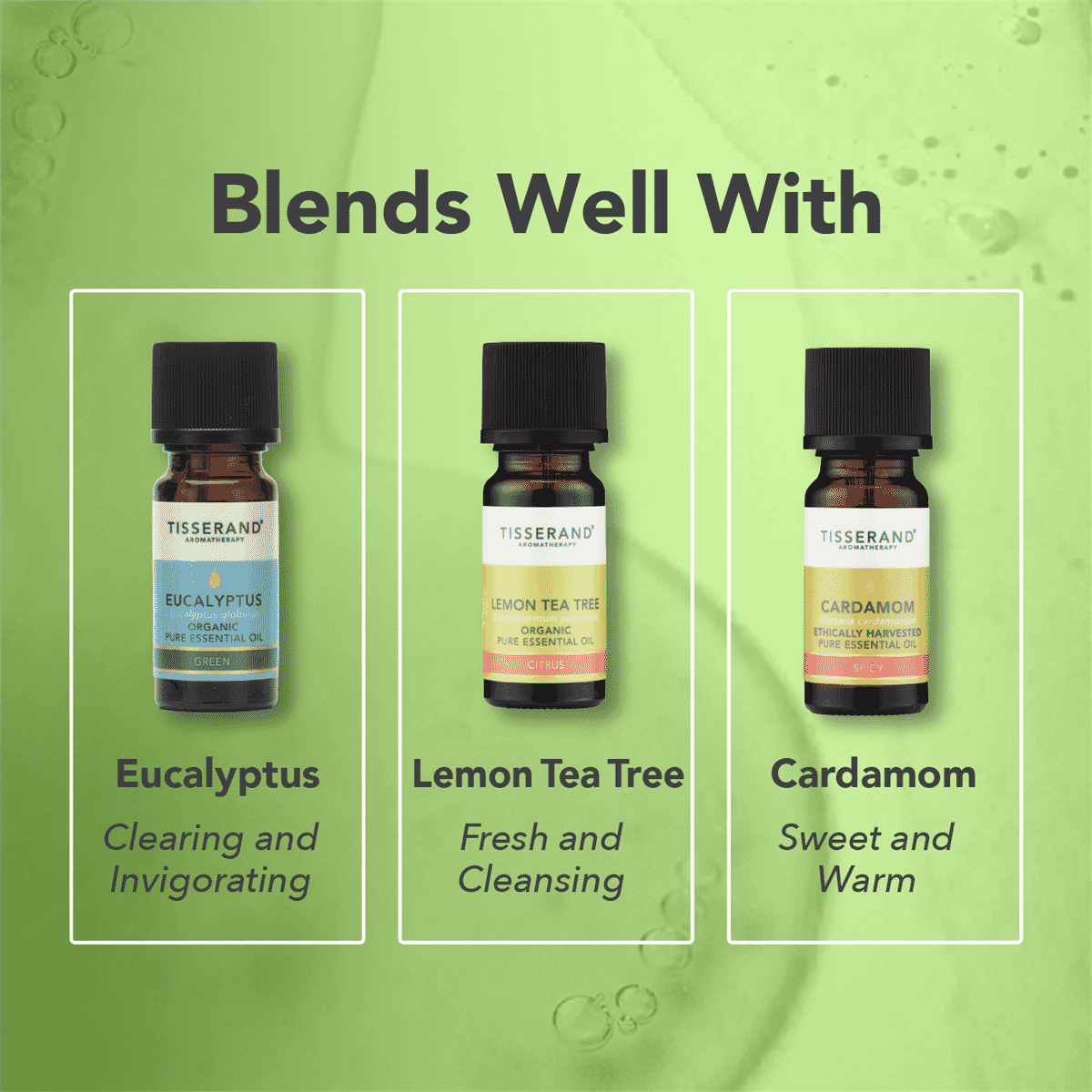 Marjoram (Spanish) Wild Crafted Pure Essential Oil 9ml