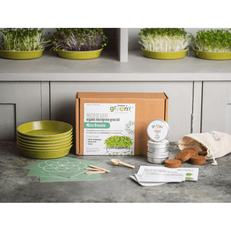 Microfarm Organic Microgreen Grow Kit 'Micro-Brassica' (Red Cabbage, Broccoli, Kale)