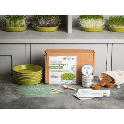 Microfarm Organic Microgreen Grow Kit 'Micro-Energise' (Kale, Pink Radish, Red Cabbage)