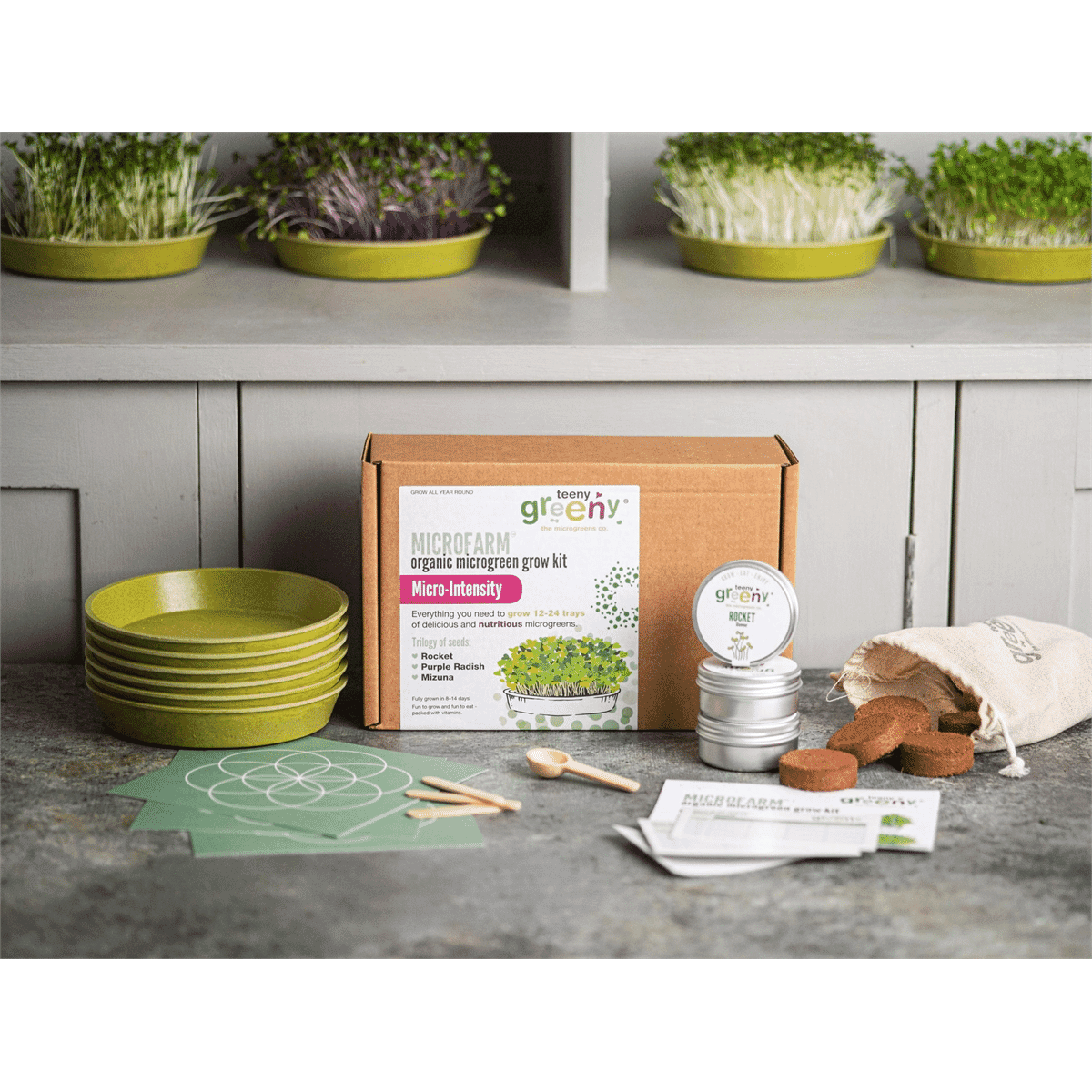 Microfarm Organic Microgreen Grow Kit 'Micro-Intensity' (Rocket Purple Radish, Mizuna)