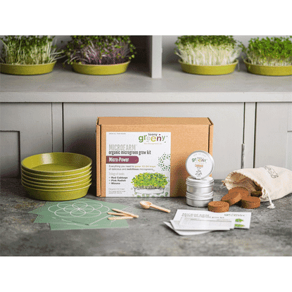 Microfarm Organic Microgreen Grow Kit 'Micro-Power' (Red Cabbage, Pink Radish, Mizuna)