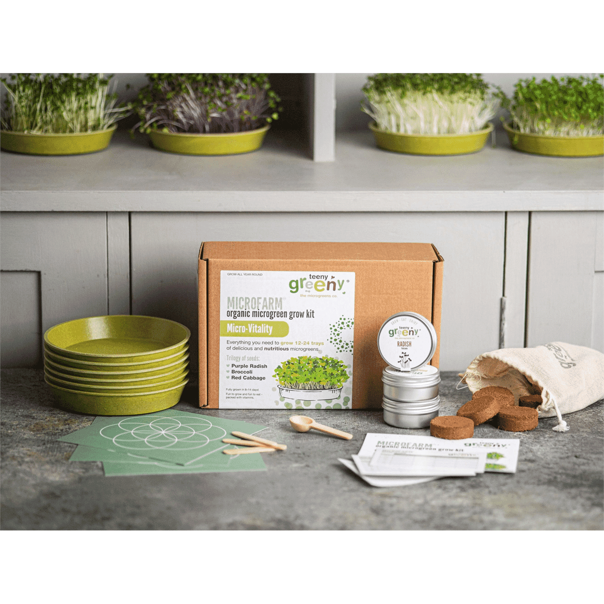Microfarm Organic Microgreen Grow Kit 'Micro-Vitality' (Purple Radish, Broccoli, Red Cabbage)