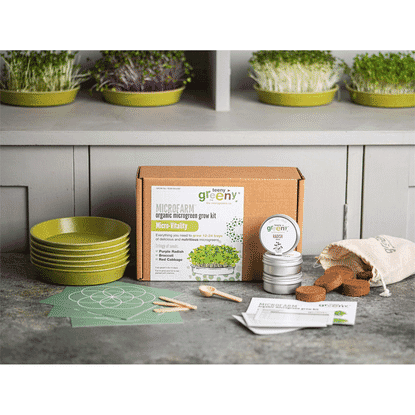 Microfarm Organic Microgreen Grow Kit 'Micro-Vitality' (Purple Radish, Broccoli, Red Cabbage)