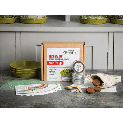 Microfarm Organic Microgreen Grow Kit 'Rocket Fuel' (Broccoli, Red Cabbage, Rocket)