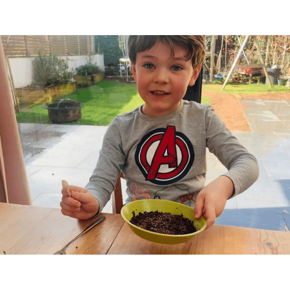 Microfarm Organic Microgreen Grow Kit 'Rocket Fuel' (Broccoli, Red Cabbage, Rocket)