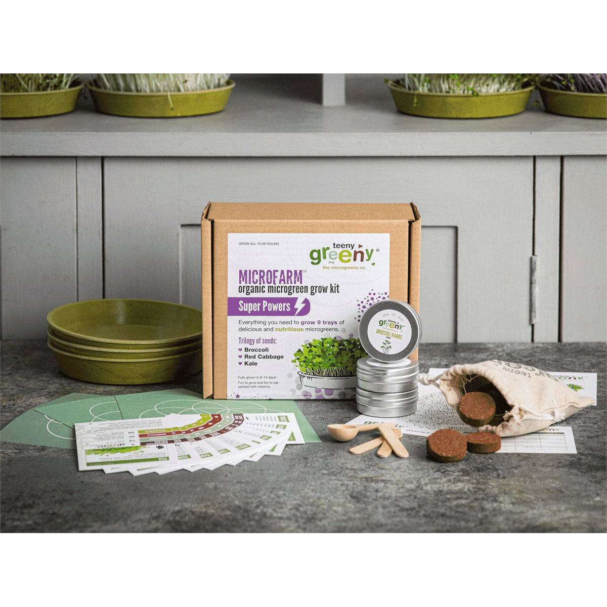 Microfarm Organic Microgreen Grow Kit 'Super Powers' (Broccoli, Red Cabbage, Kale)