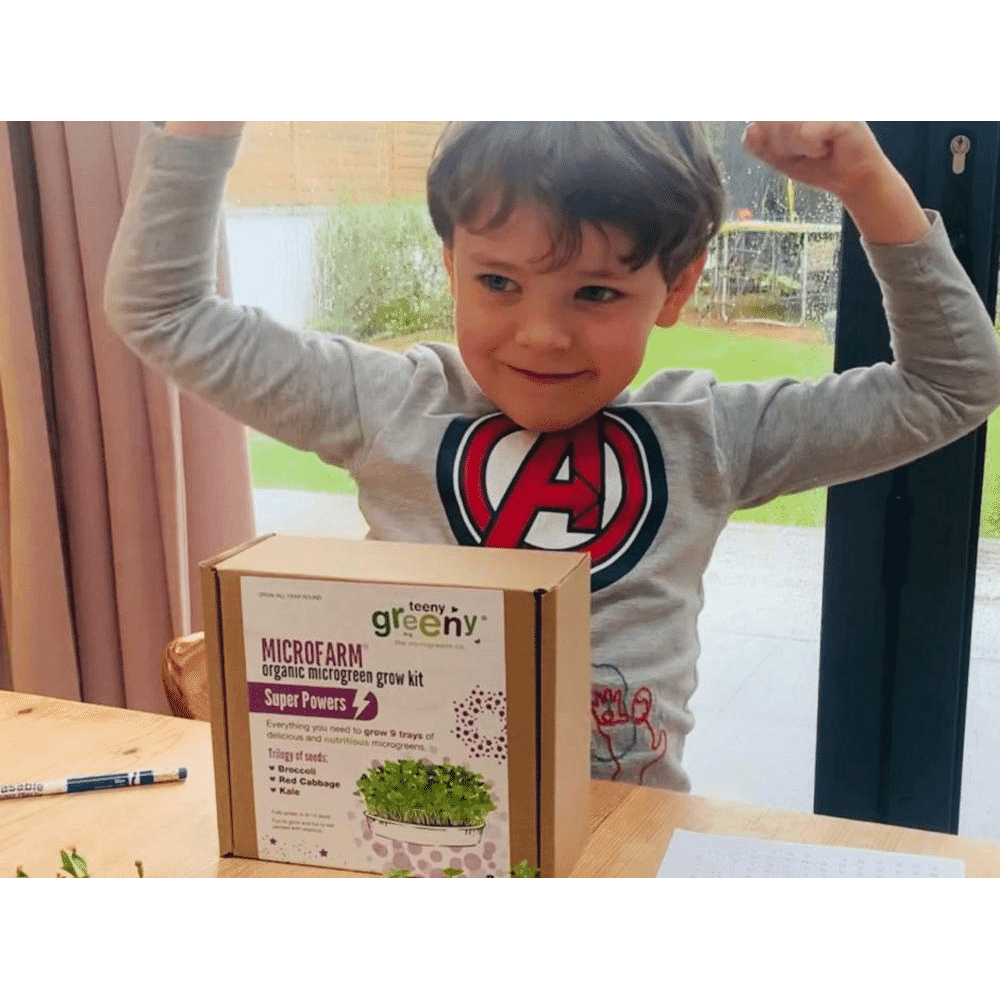 Microfarm Organic Microgreen Grow Kit 'Super Powers' (Broccoli, Red Cabbage, Kale)