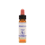 Mimulus 10ml