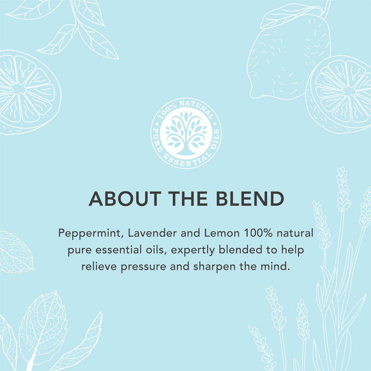 Mind Clear Diffuser Oil 9ml