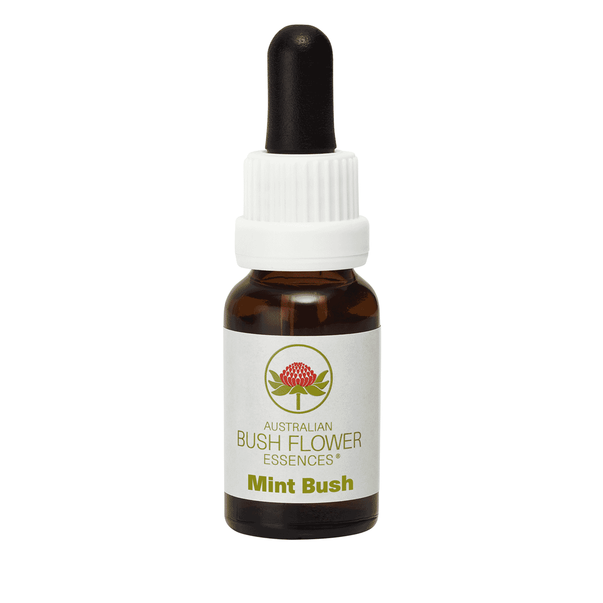Mint Bush (Stock Bottle) 15ml