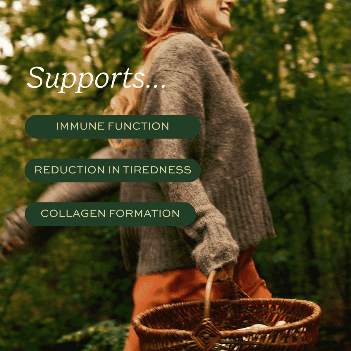 Moringa Organic Superfood Powder 100g