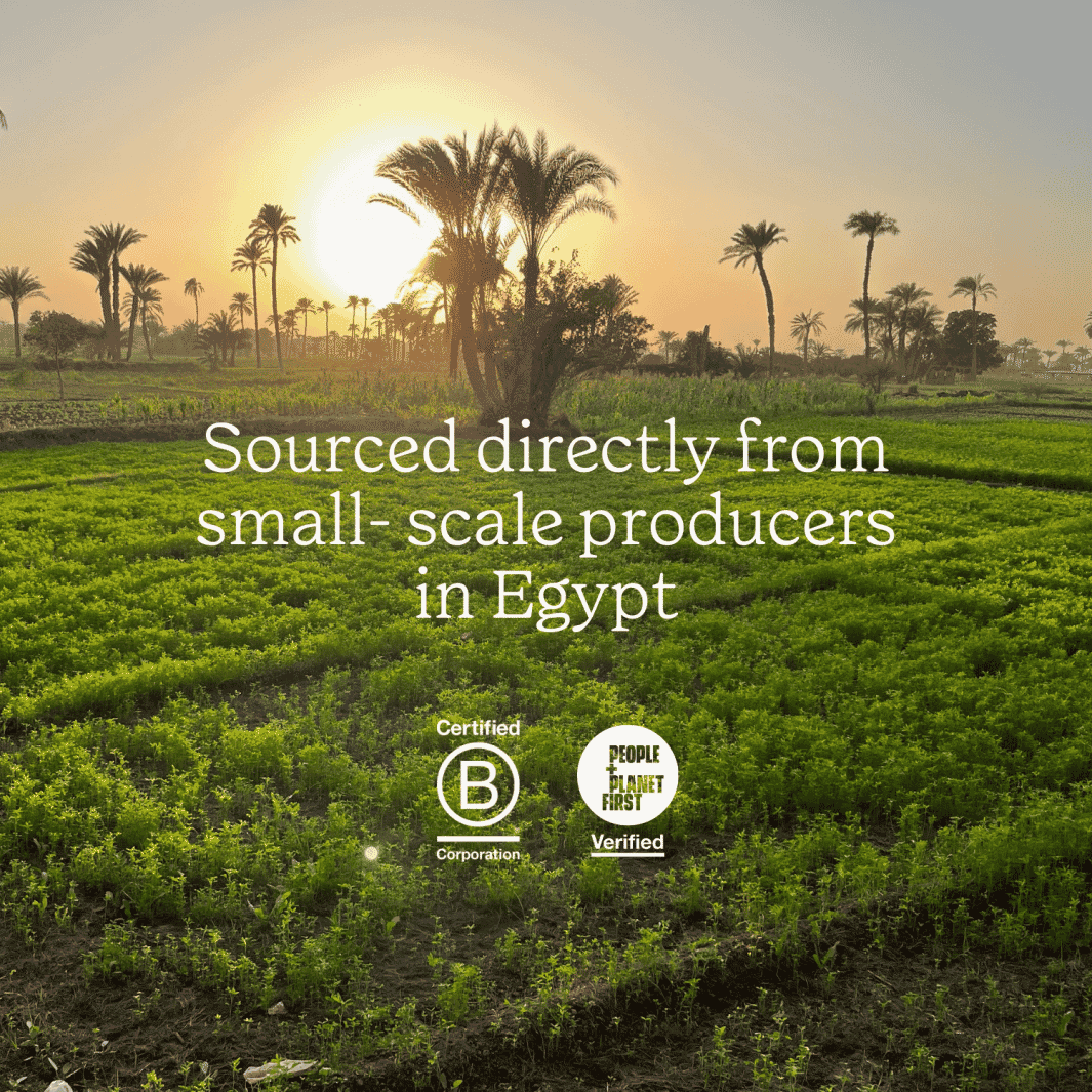 Moringa Superfood Powder Organic 275g