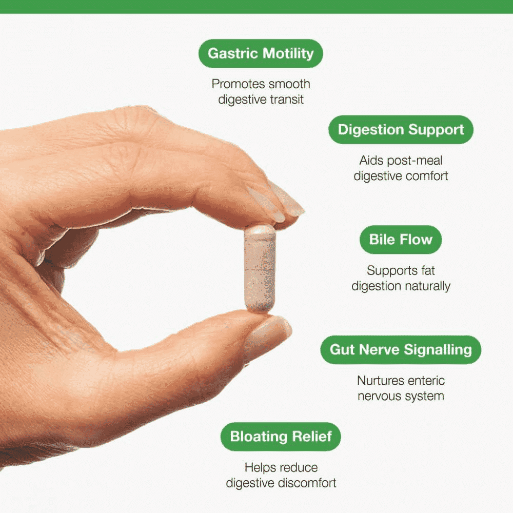 Motility Complex with Ginger + Artichoke 120s