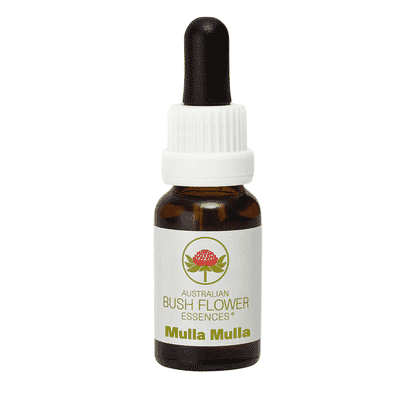 Mulla Mulla (Stock Bottle) 15ml