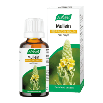 Mullein Respiratory Health 50ml
