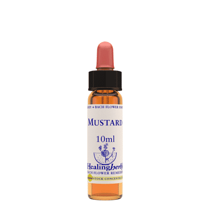 Mustard 10ml