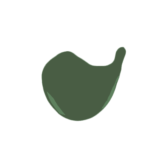 Nail Polish Sage Green 5ml