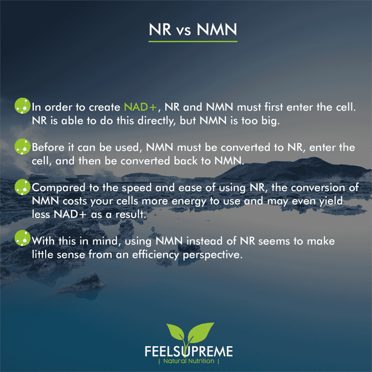 NR (Nicotinamide Riboside) with Astaxanthin 60s