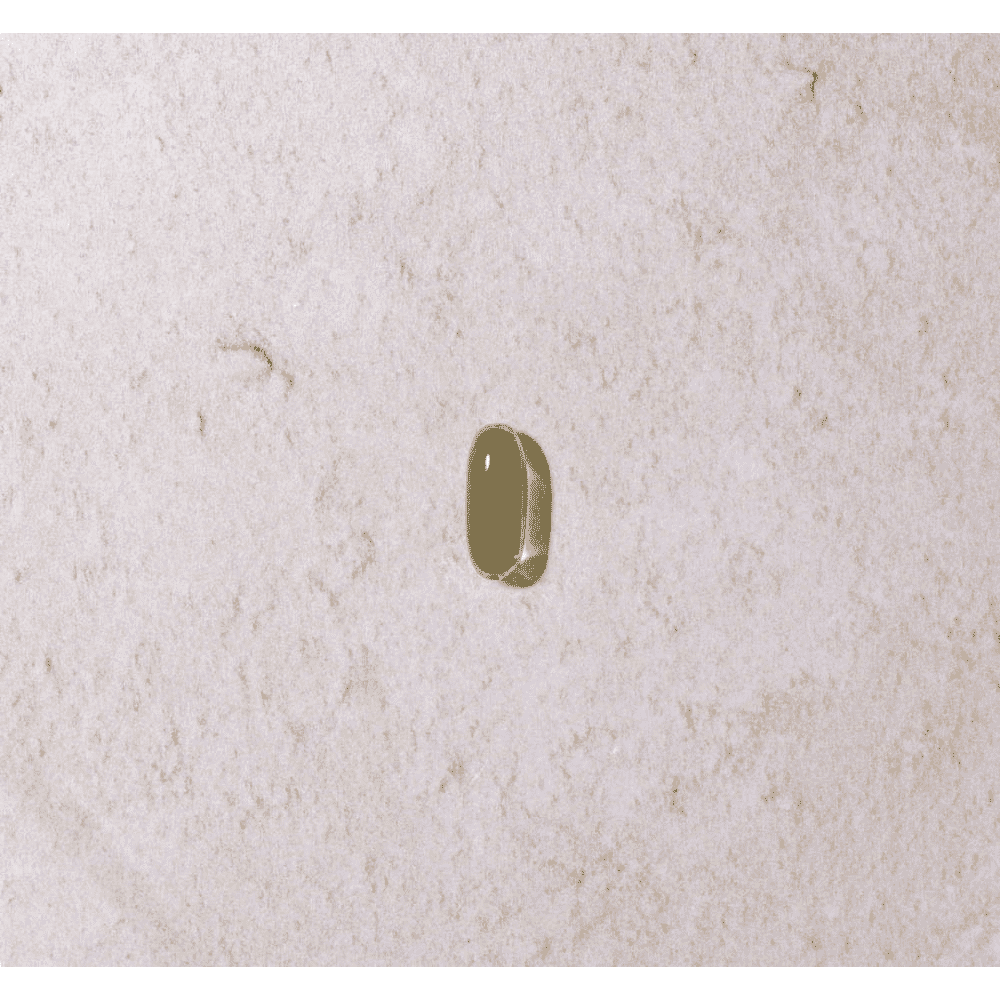 Omega 3 Fish Oil 90s