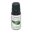 Oregano Pure Essential Oil 10ml