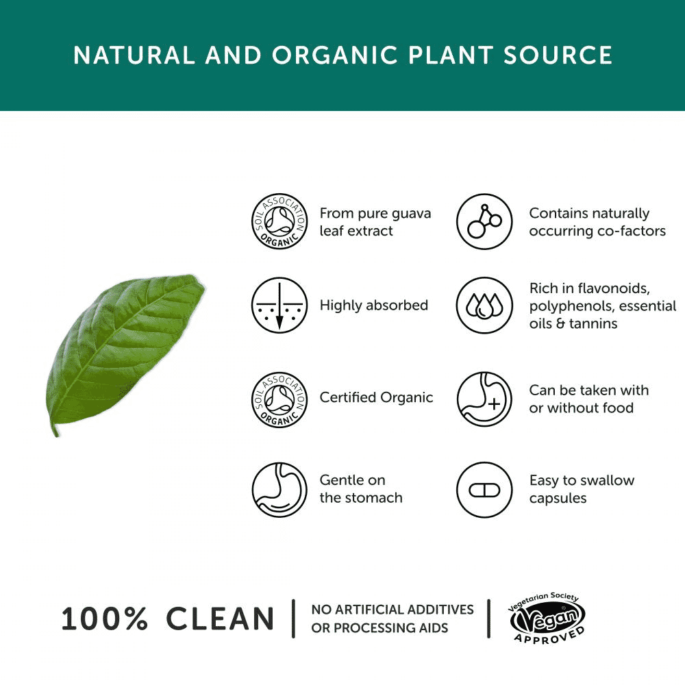 Organic Bio-Zinc Guava Leaf Extract 30’s