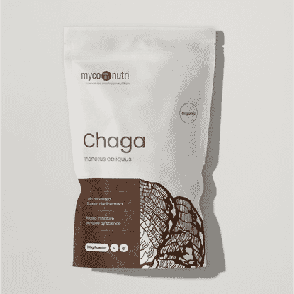 Organic Chaga 100g Powder