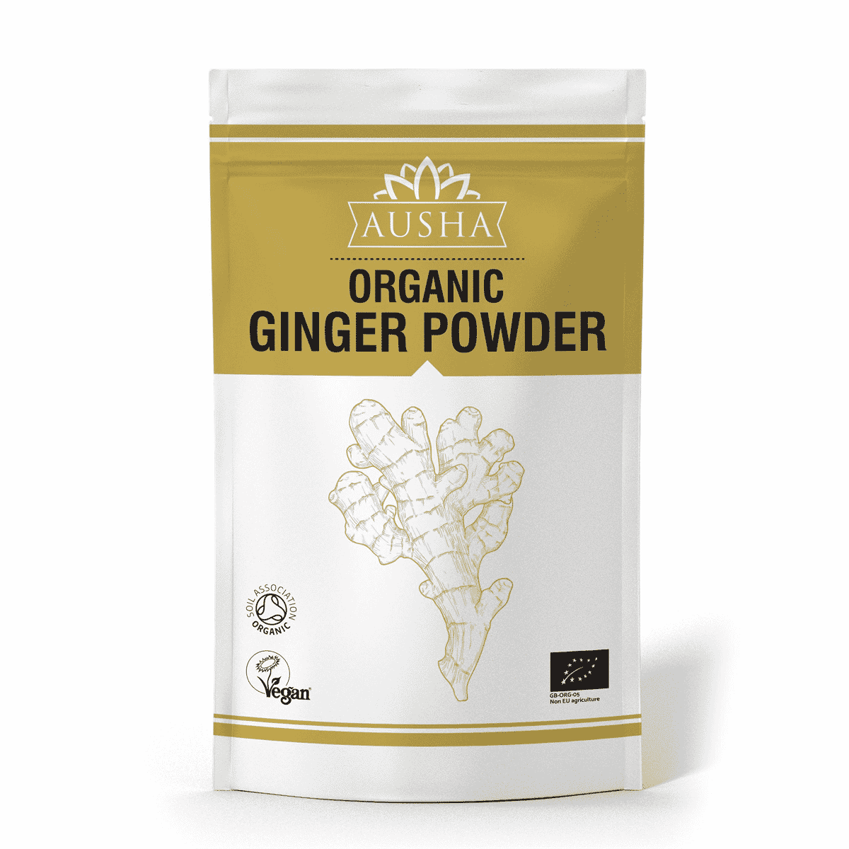 Organic Ginger Powder 100g