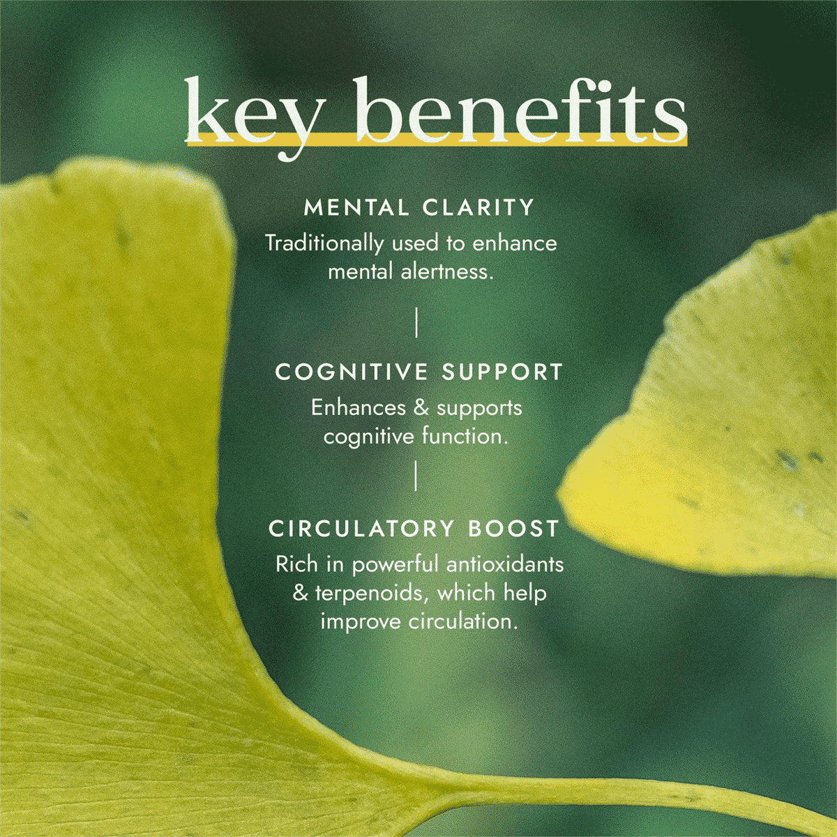 Organic Ginkgo Biloba 60s