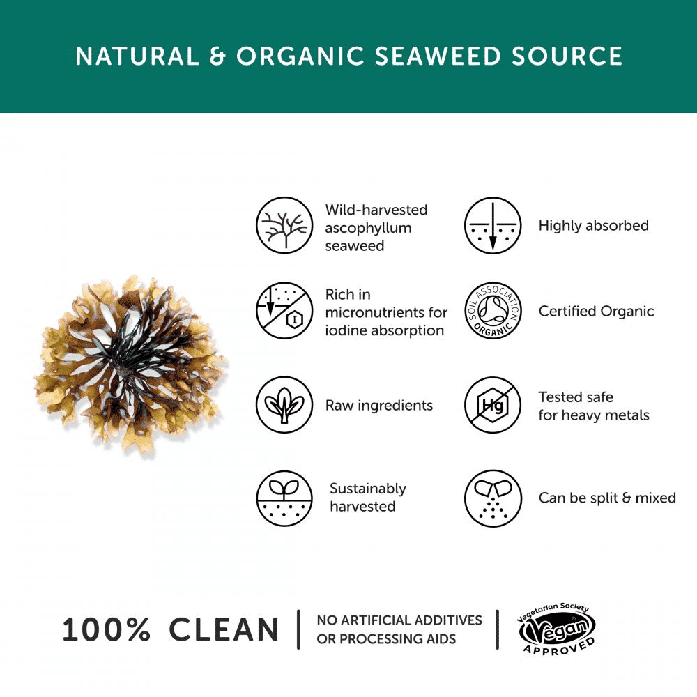 Organic Iodine From Wild Seaweed 30s