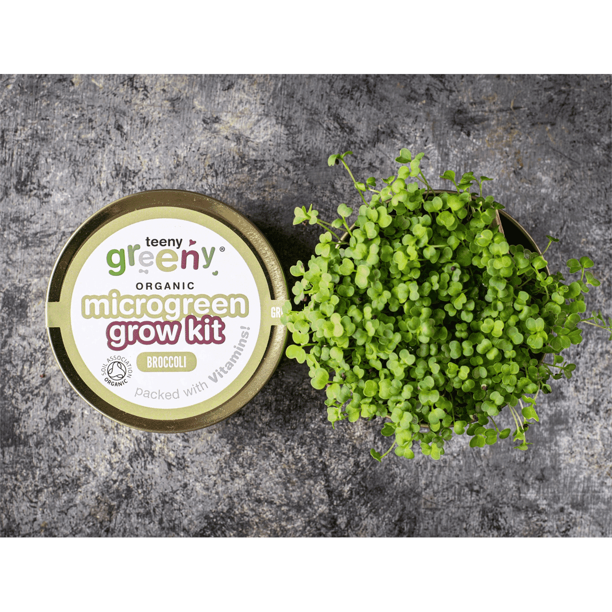 Organic Microgreen Grow Kit (Broccoli)