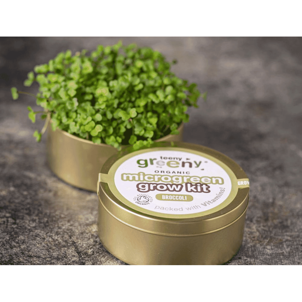 Organic Microgreen Grow Kit (Broccoli)
