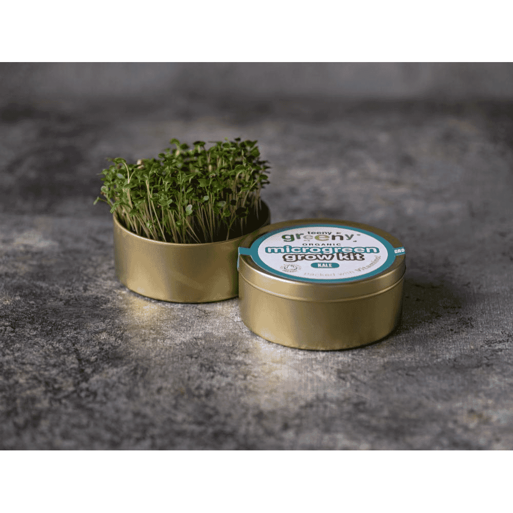 Organic Microgreen Grow Kit (Kale)