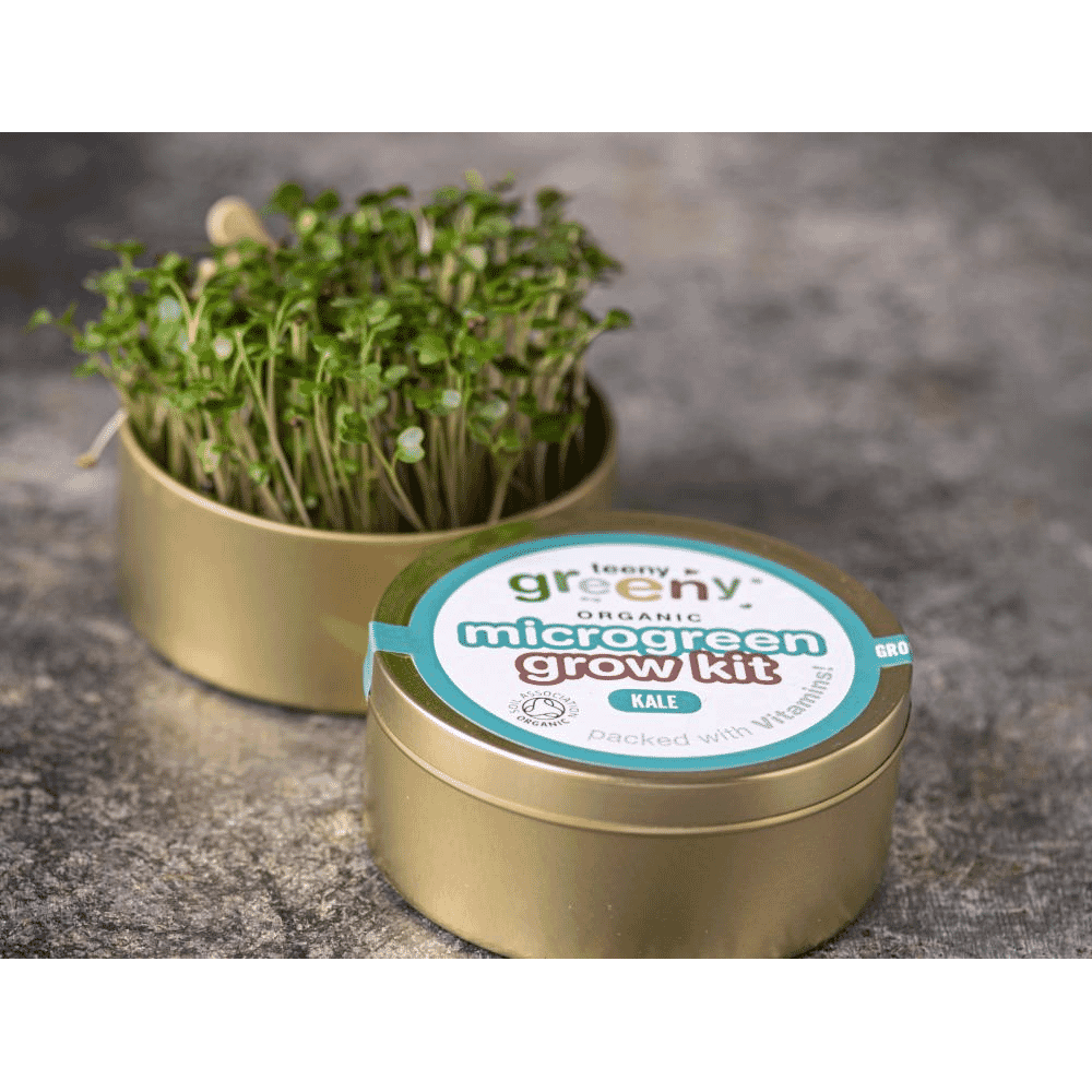 Organic Microgreen Grow Kit (Kale)