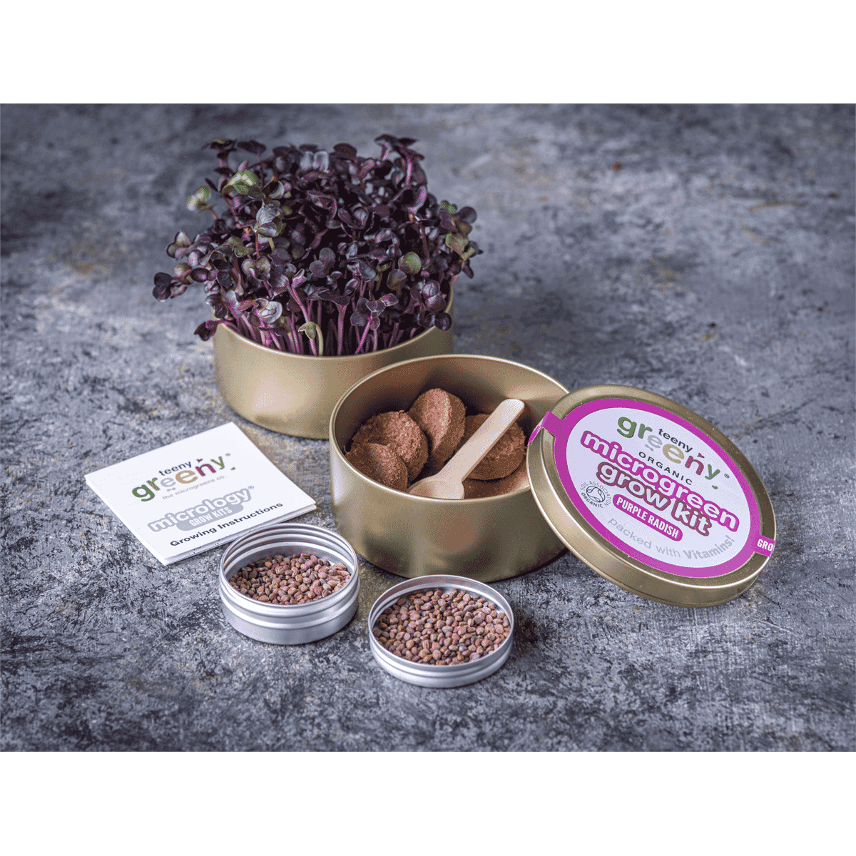 Organic Microgreen Grow Kit (Purple Radish)