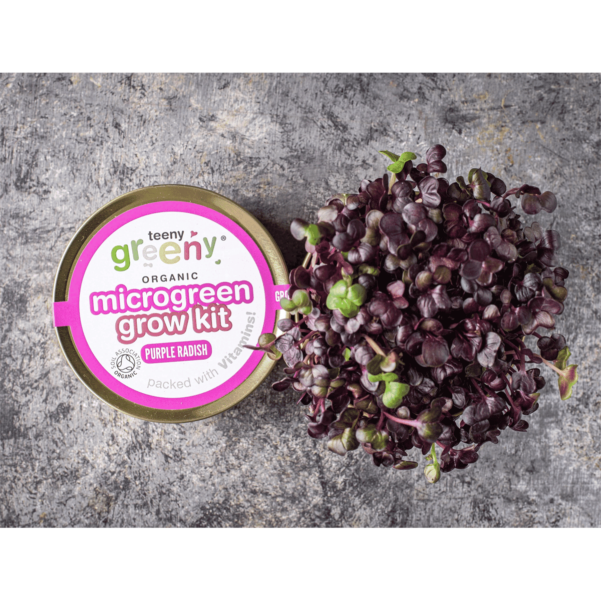 Organic Microgreen Grow Kit (Purple Radish)
