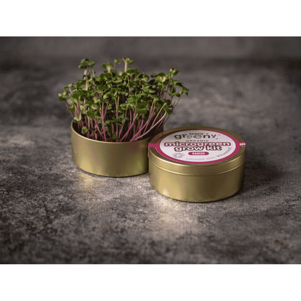 Organic Microgreen Grow Kit (Radish)