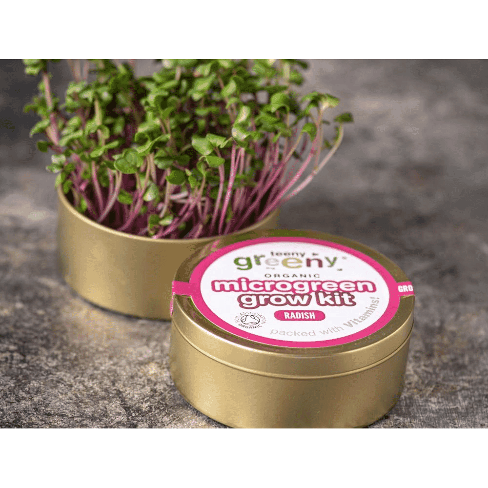Organic Microgreen Grow Kit (Radish)
