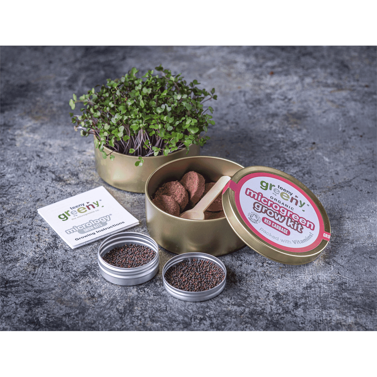 Organic Microgreen Grow Kit (Red Cabbage)