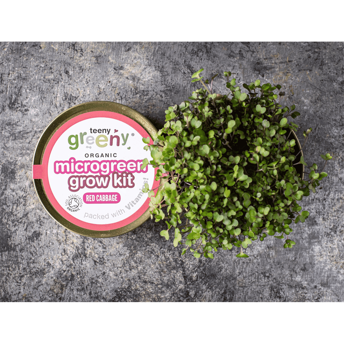 Organic Microgreen Grow Kit (Red Cabbage)
