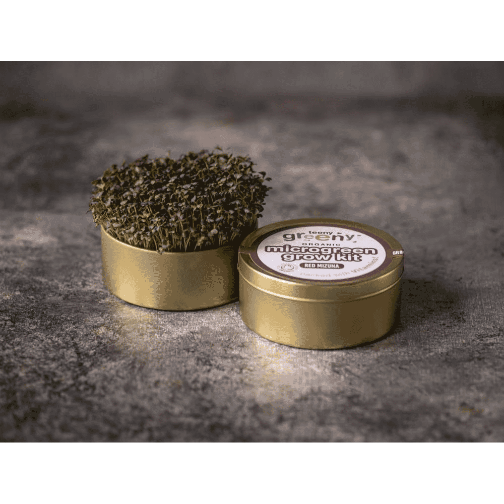 Organic Microgreen Grow Kit (Red Mizuna)