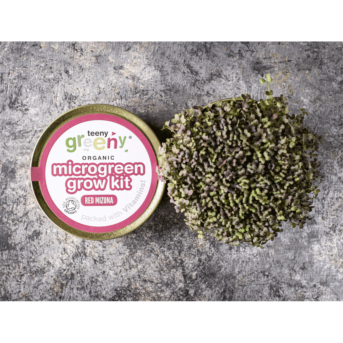 Organic Microgreen Grow Kit (Red Mizuna)