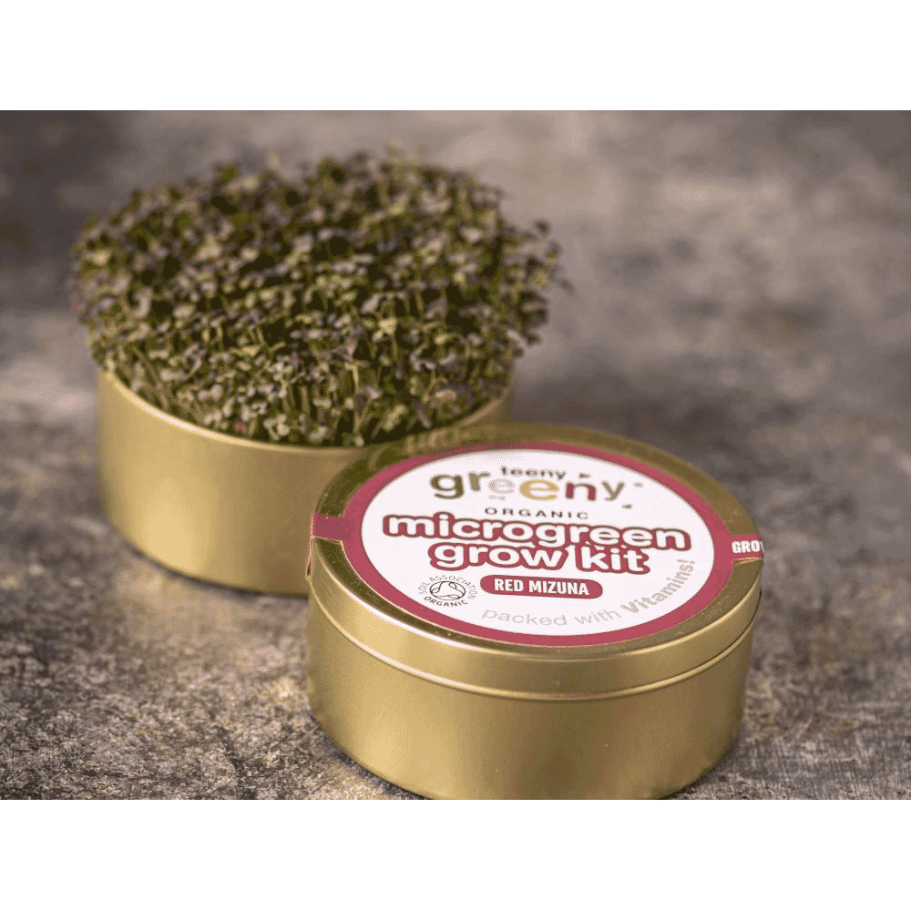 Organic Microgreen Grow Kit (Red Mizuna)
