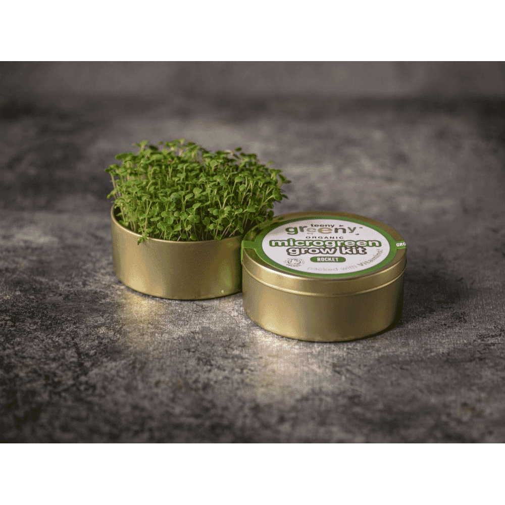 Organic Microgreen Grow Kit (Rocket)