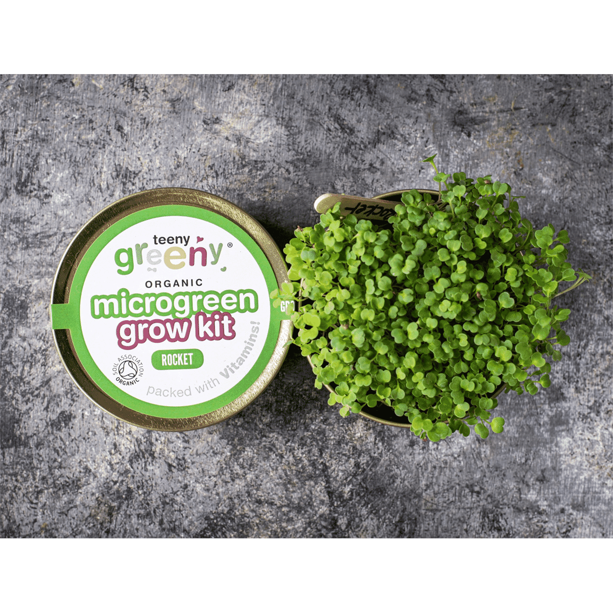 Organic Microgreen Grow Kit (Rocket)