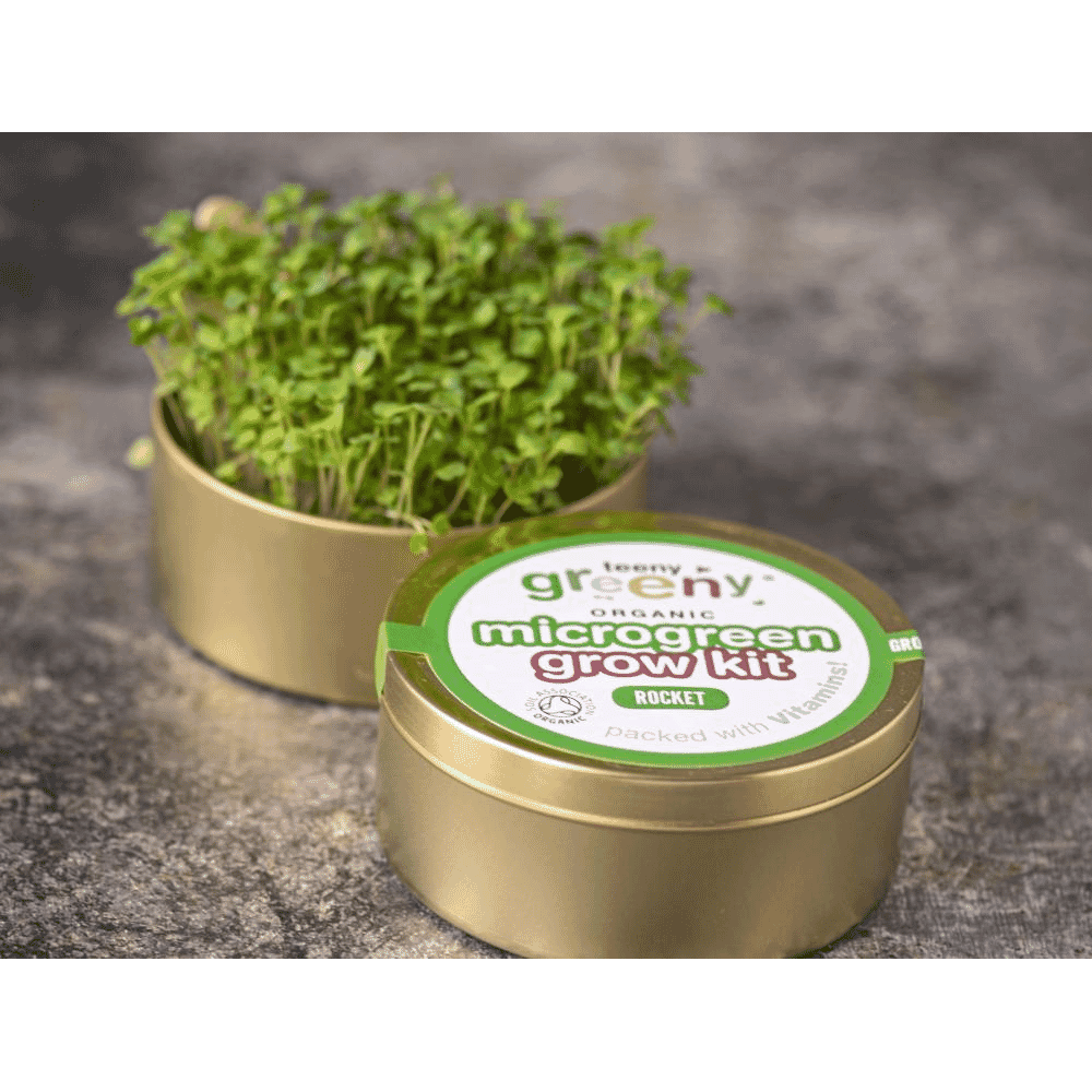 Organic Microgreen Grow Kit (Rocket)